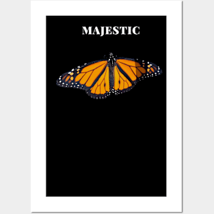 Butterfly Posters and Art